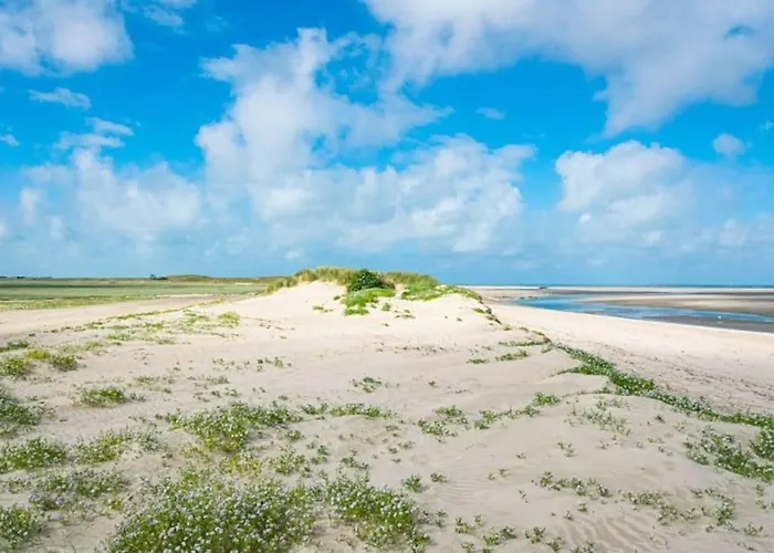 Villa Mon Rêve 12 Pers à 500m De La *